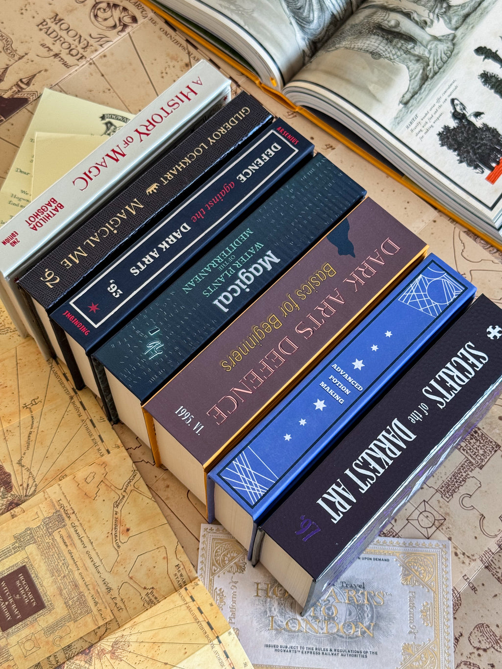 Harry Potter: Academic Collection