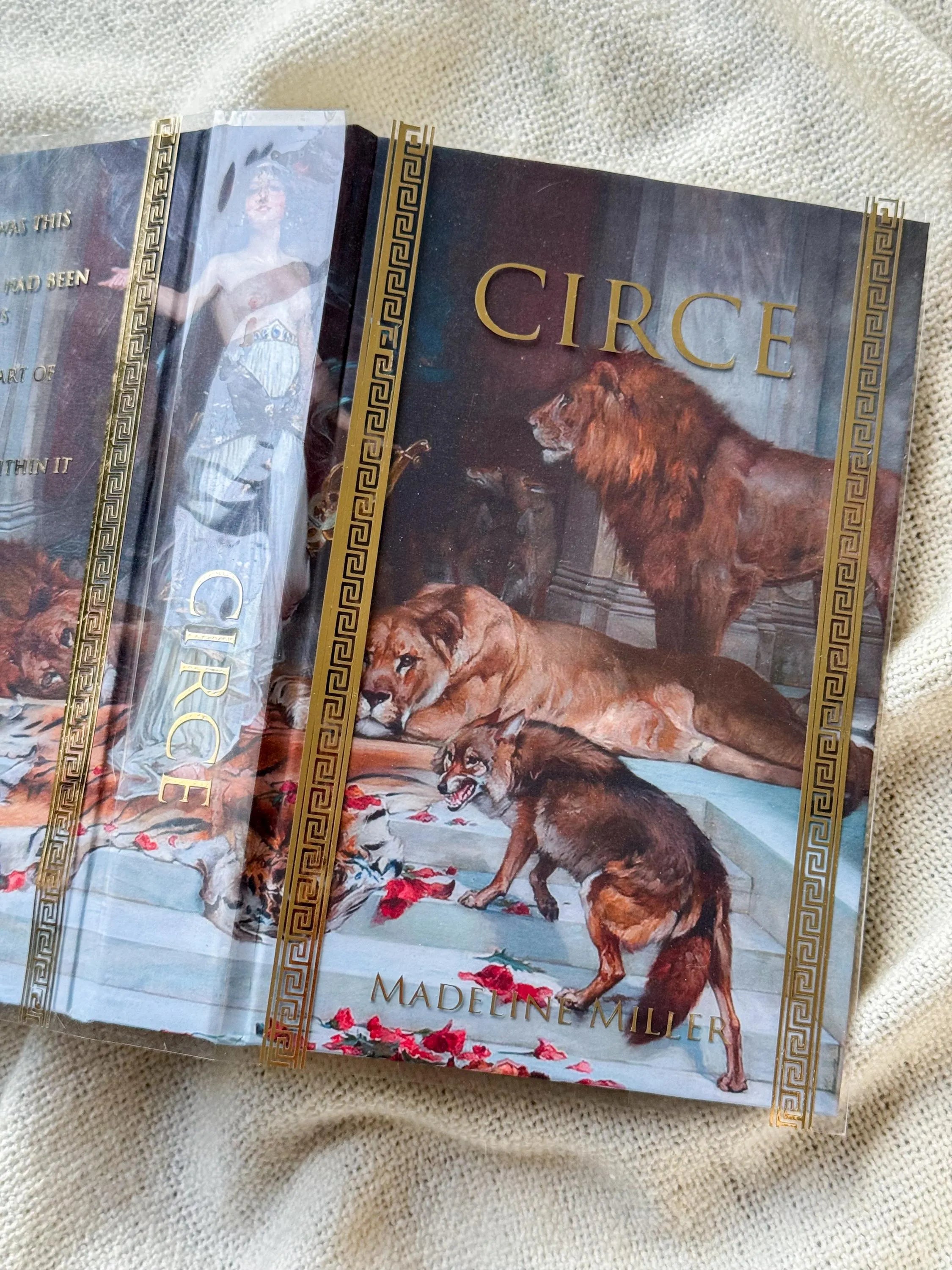 Circe by Madeline Miller Rebind